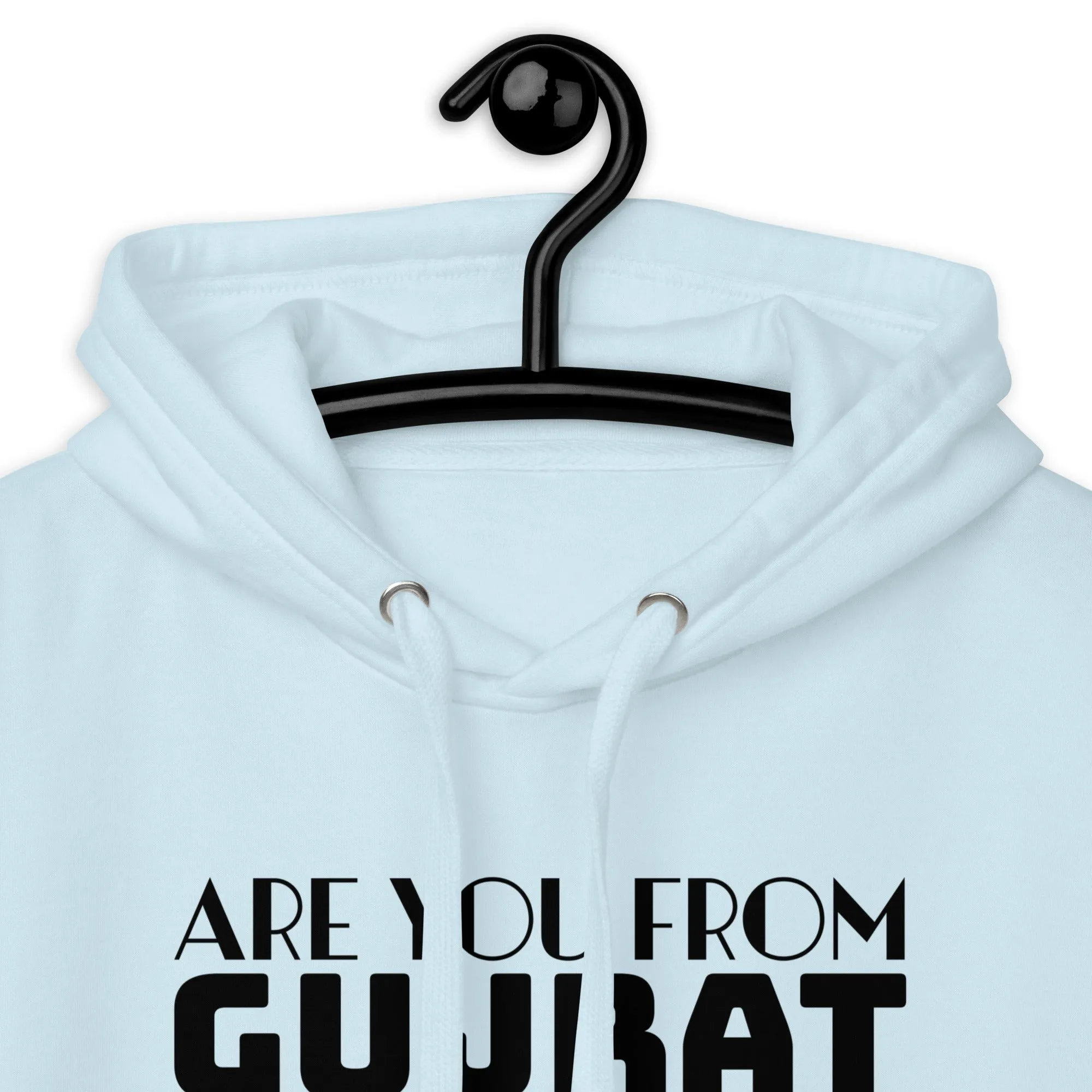 Are you from Gujrat Unisex Hoodie