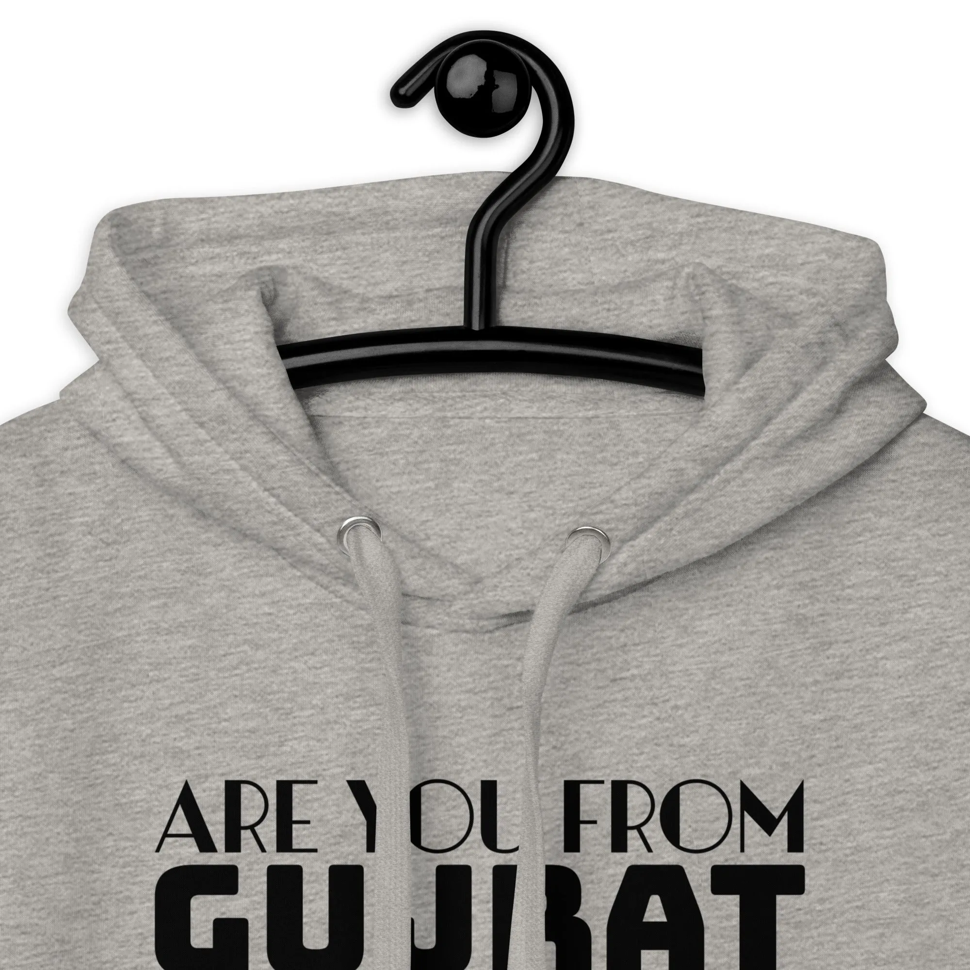 Are you from Gujrat Unisex Hoodie