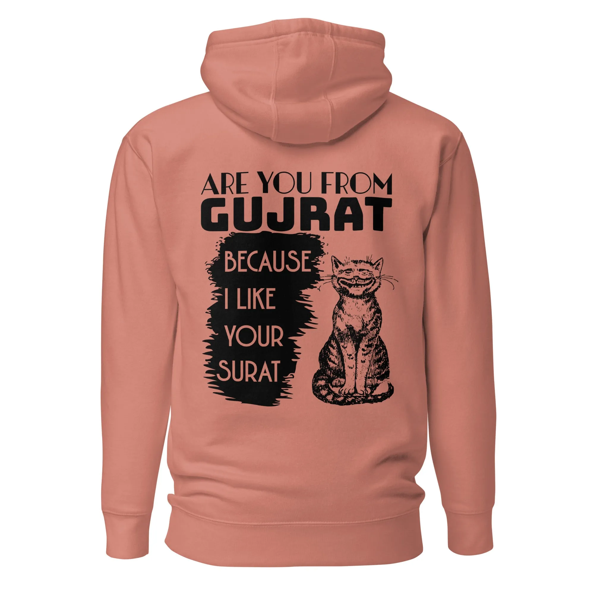 Are you from Gujrat Unisex Hoodie