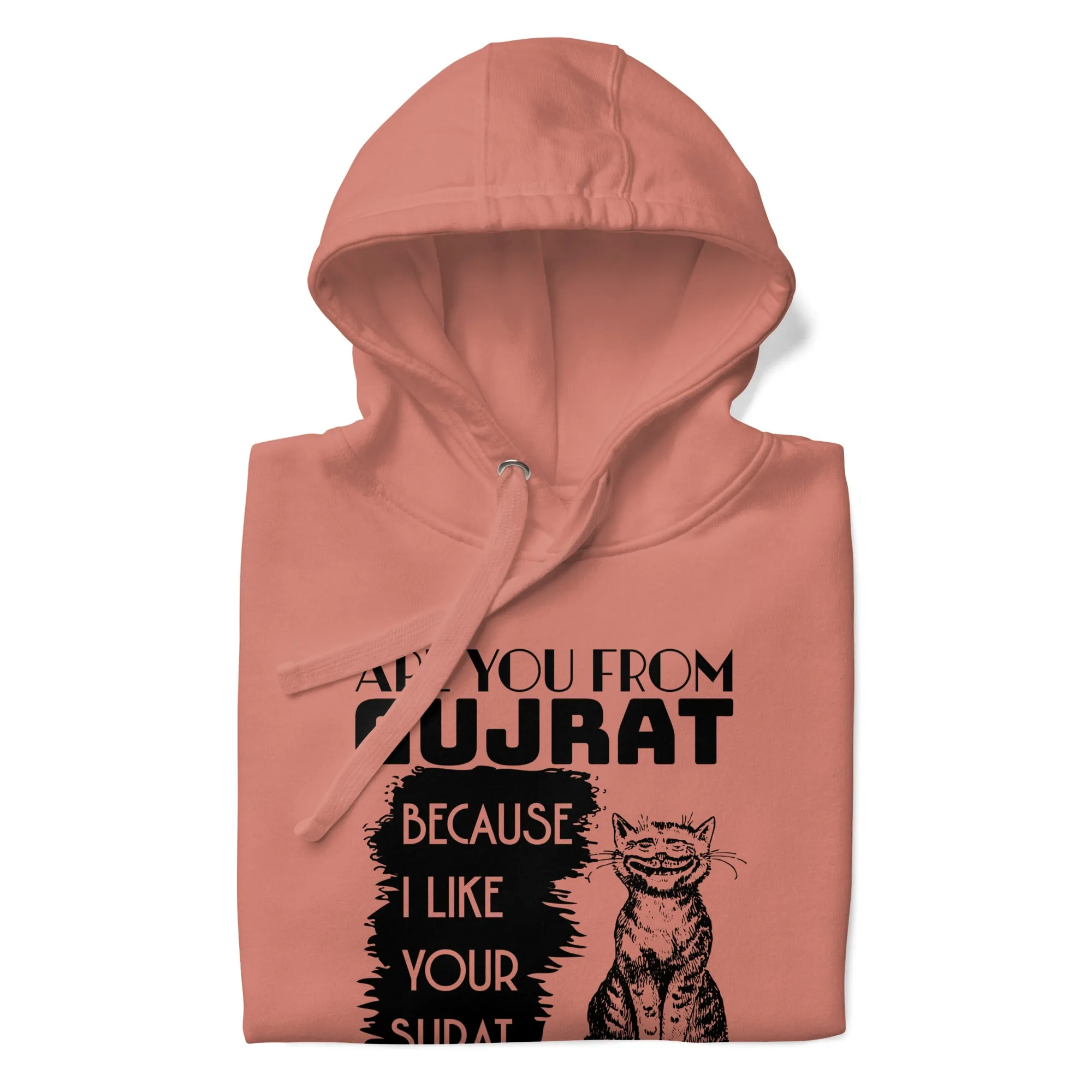 Are you from Gujrat Unisex Hoodie