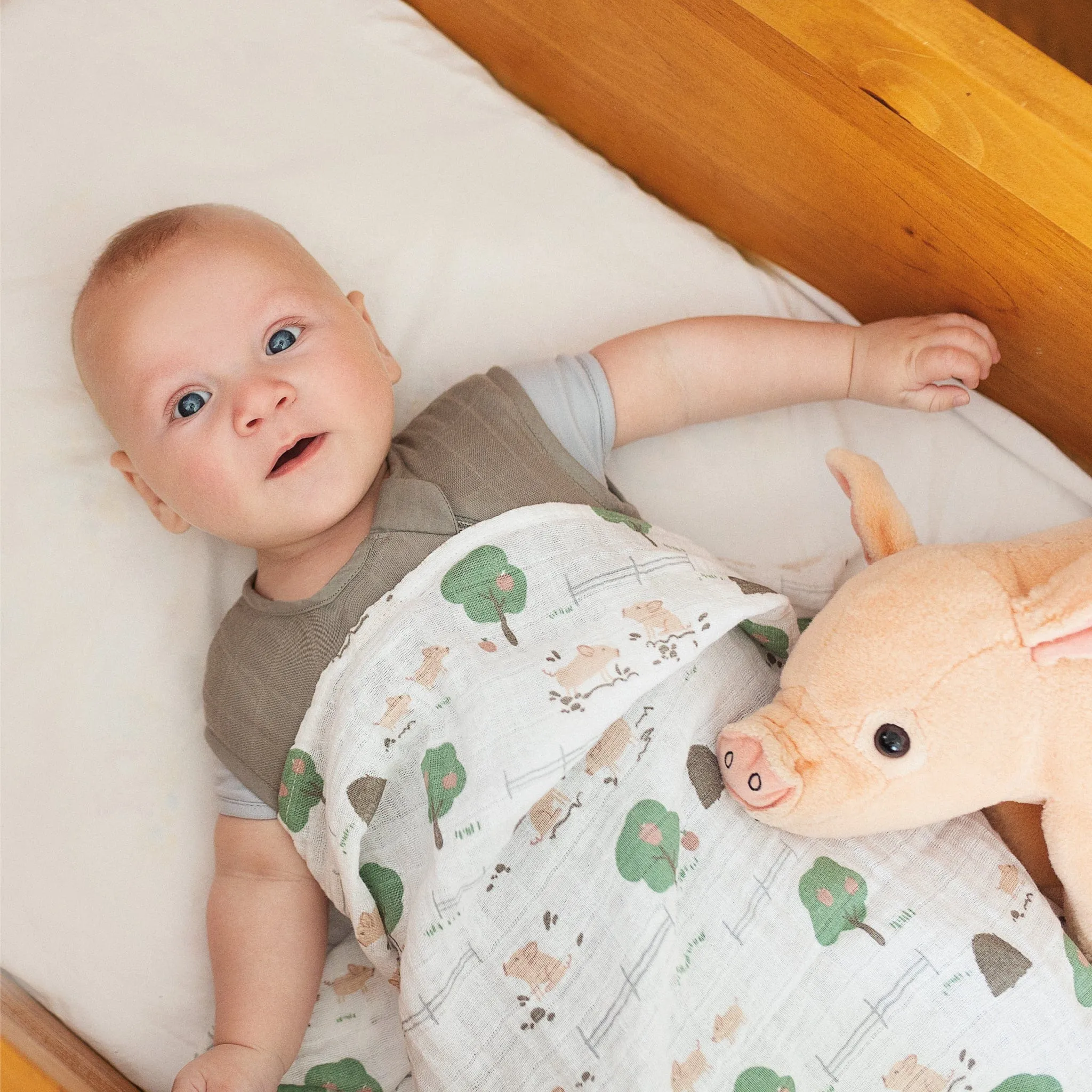 Cotton muslin swaddle - Piglets