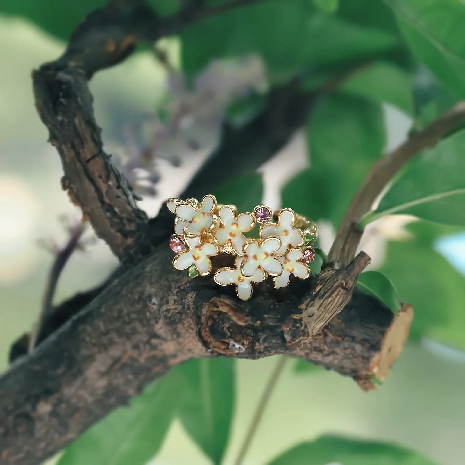 Osmanthus Fragrans Ring