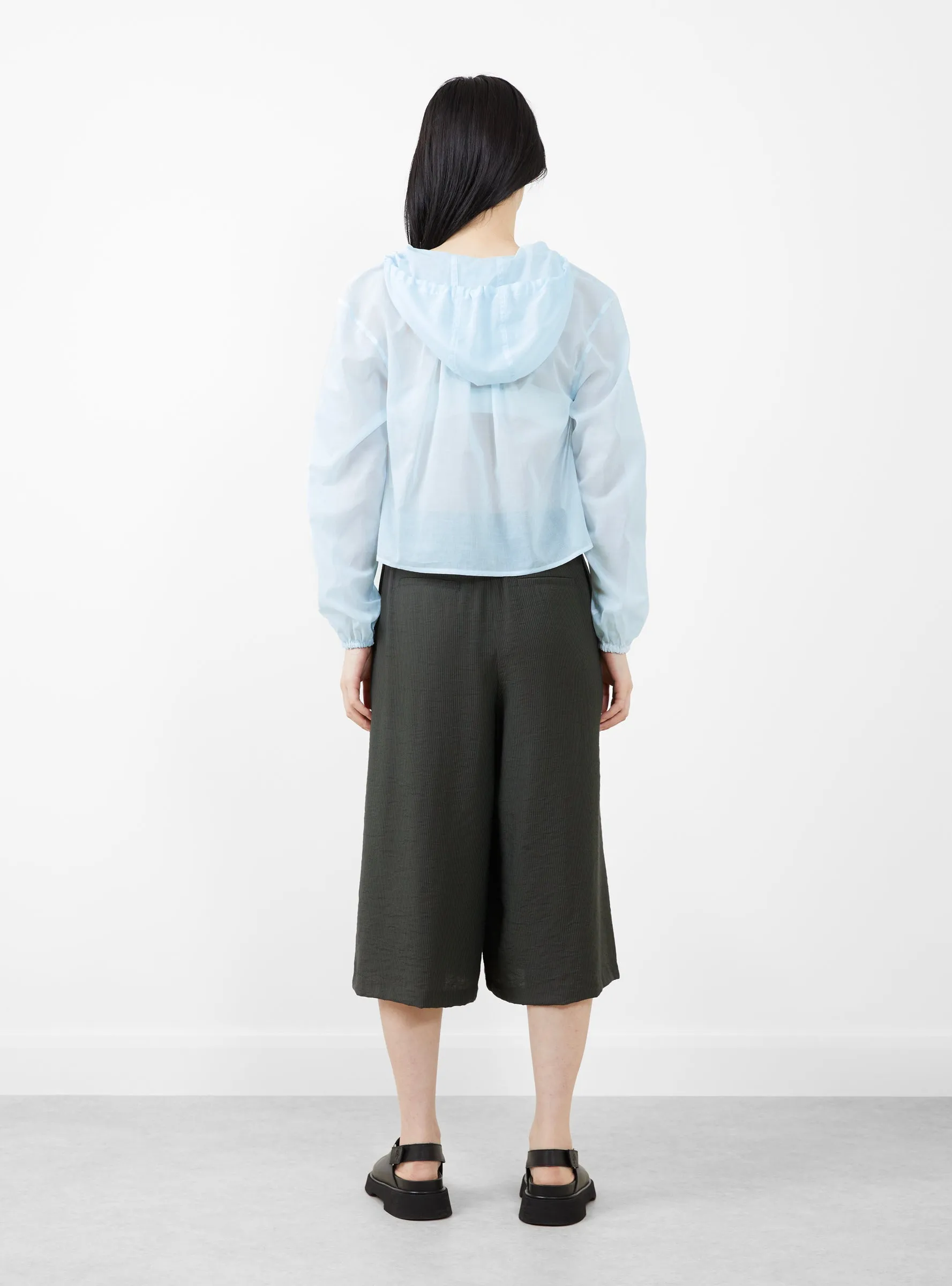 Sheer Shirring Hooded Blouse Light Blue